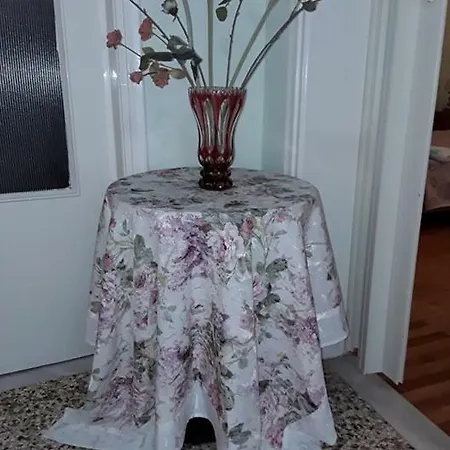 The Traditional House *